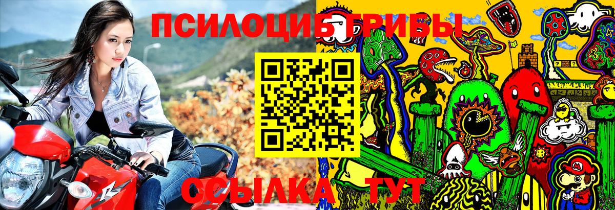 Большой Камень  Псилоцибиновые грибы Psilocybe  сколько стоит  Вход с VPN 