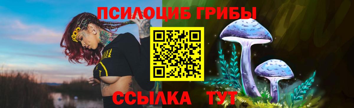 Галлюциногенные грибы прущие грибы Большой Камень
